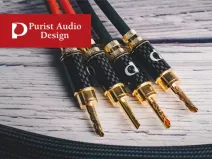 Purist Audio Design