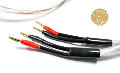 Melodika   Brown sugar BSSC33  - kabel głośnikowy /przekrój 2x3,3mm2