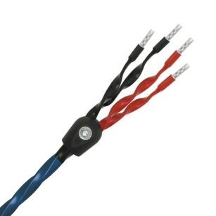 Wireworld OASIS 8 - Kabel głośnikowy Bi-Wire (OAB) (BAN-BAN)
